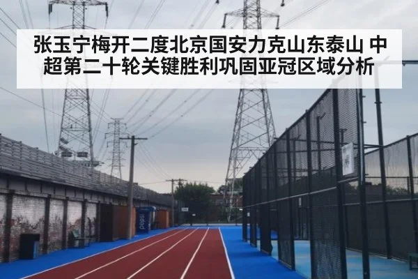 张玉宁梅开二度北京国安力克山东泰山 中超第二十轮关键胜利巩固亚冠区域分析